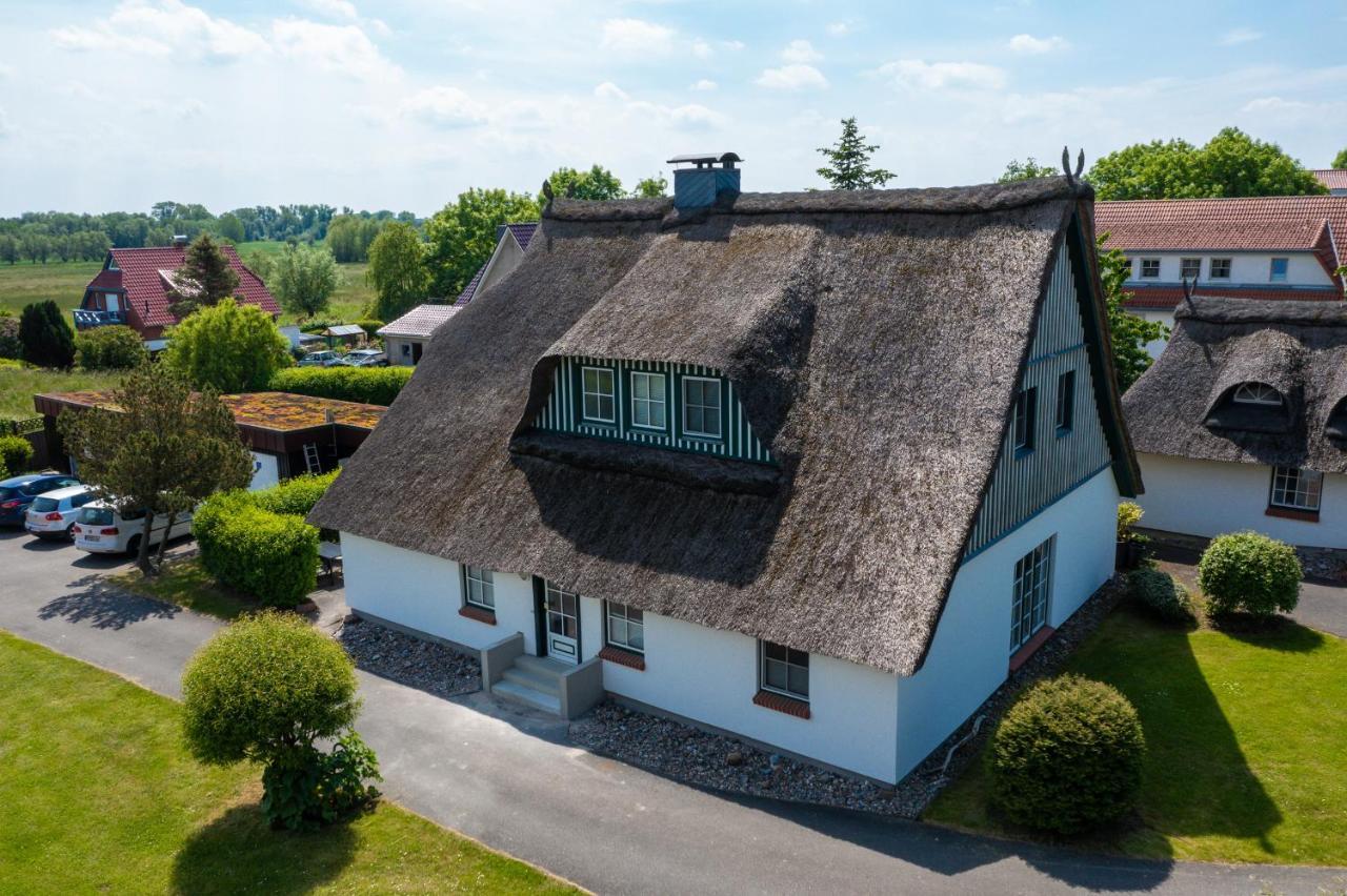An Der Steilkueste Wohnung 02 Boltenhagen  Buitenkant foto